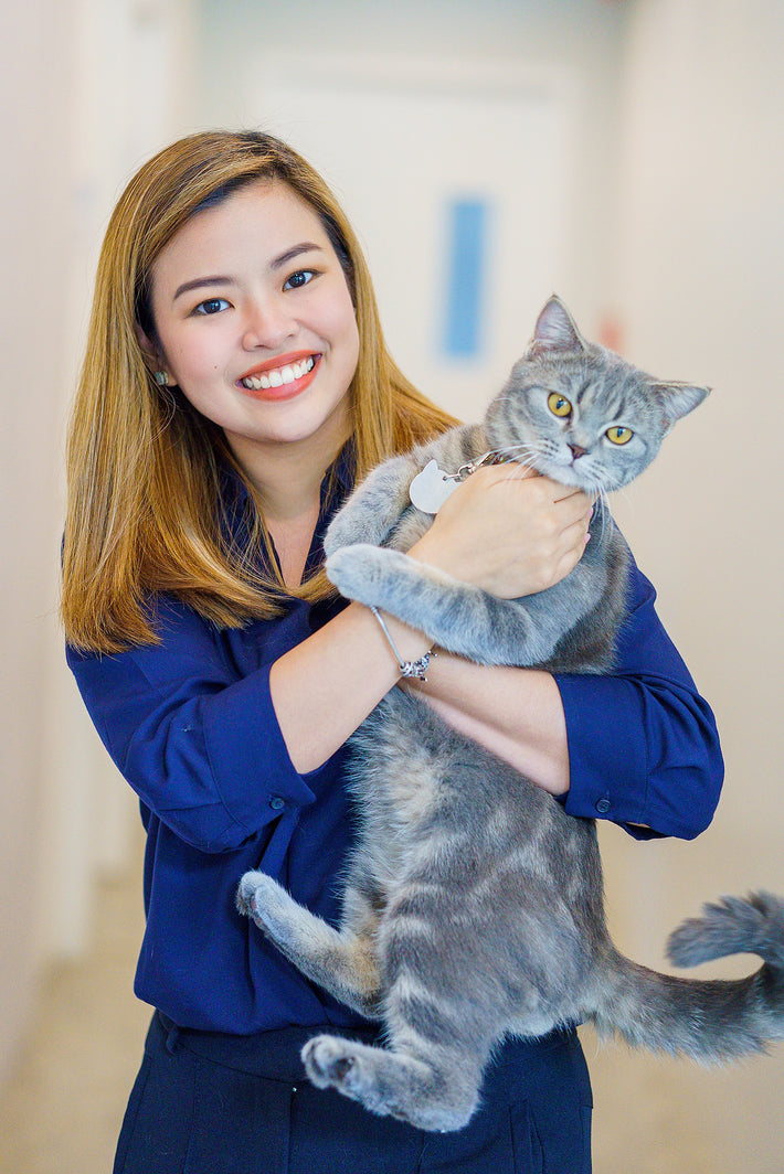 Our Team The Cat Clinic