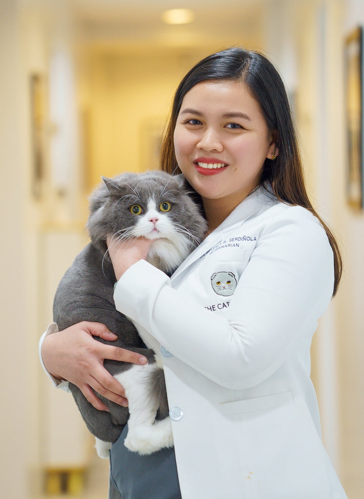 Our Team The Cat Clinic