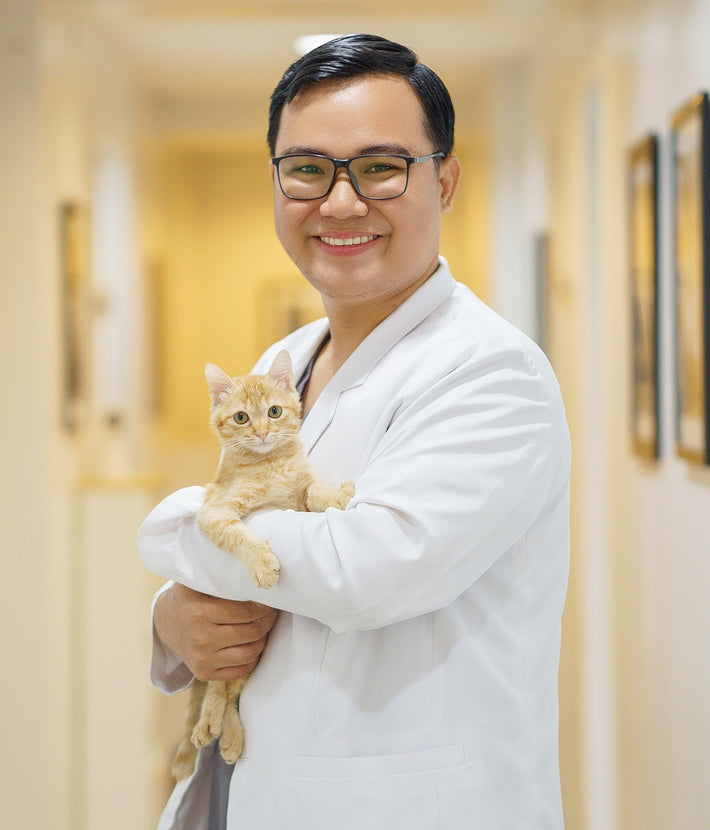 Our Team The Cat Clinic