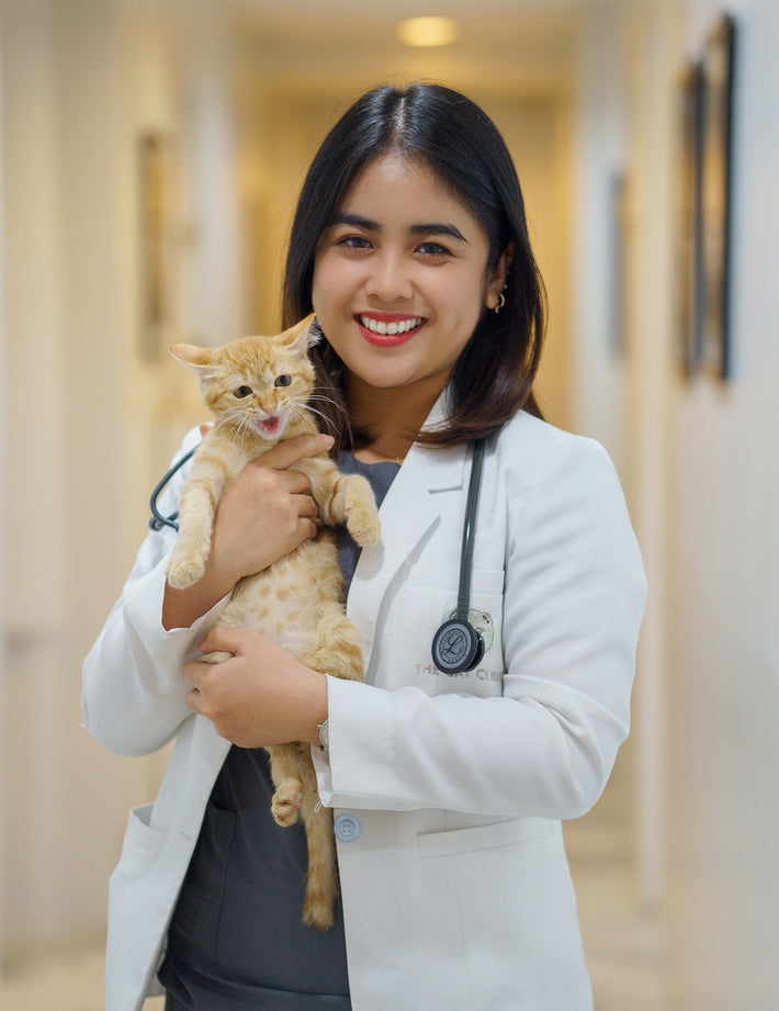 Our Team The Cat Clinic