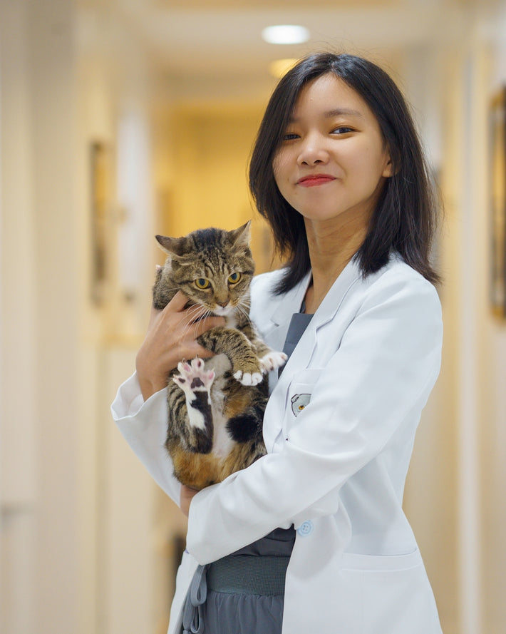 Our Team The Cat Clinic