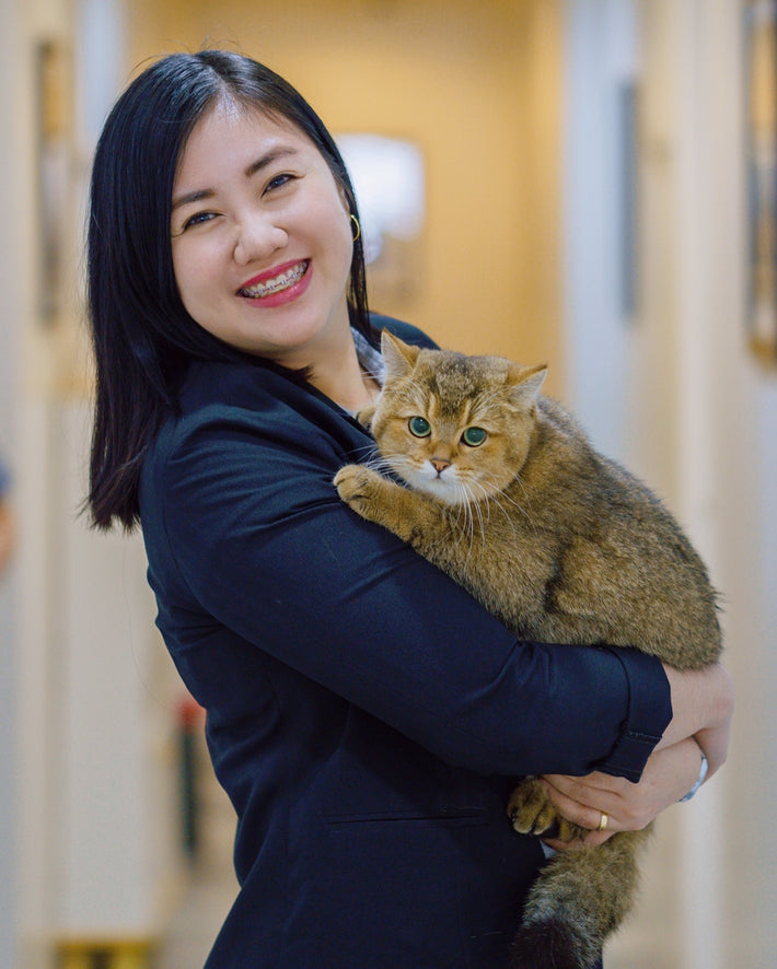 Our Team The Cat Clinic